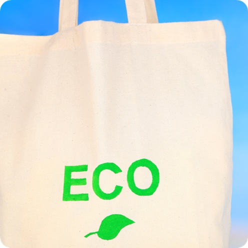 Eco Bag